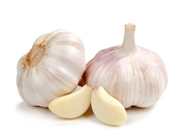 Fresh Garlic 1 lb