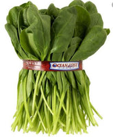 Fresh Spinach 1 Bunch