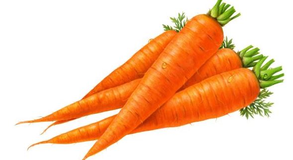 Carrot 1 lb