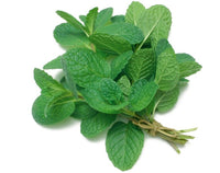 Mint Bunches - Podina