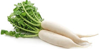 White Radish (Mooli) 1 lb